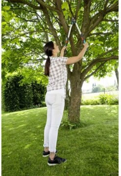 GARDENA - TeleCut Telescopische - Takkenschaar 520-670B - 42 Mm Verstelbare Lengte -Tuinartikelen Winkel 826x1200