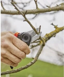 GARDENA - ExpertCut - Snoeischaar - 22 Diameter Tak -Tuinartikelen Winkel 999x1200 1