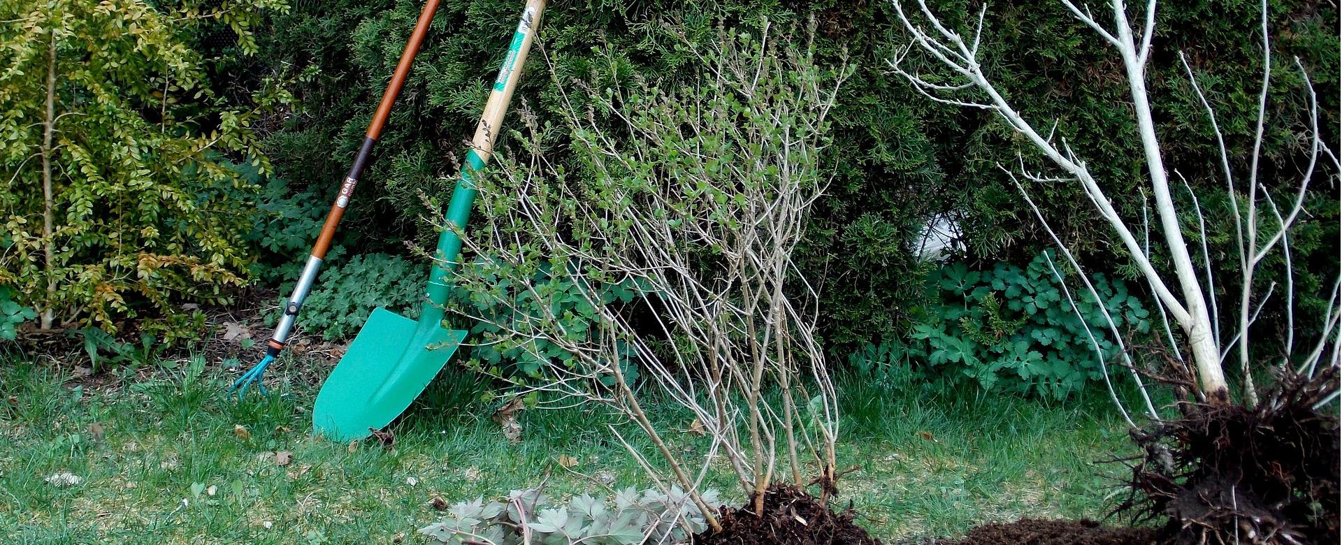 Tuinartikelen Winkel -Tuinartikelen Winkel gardening 331668 1920